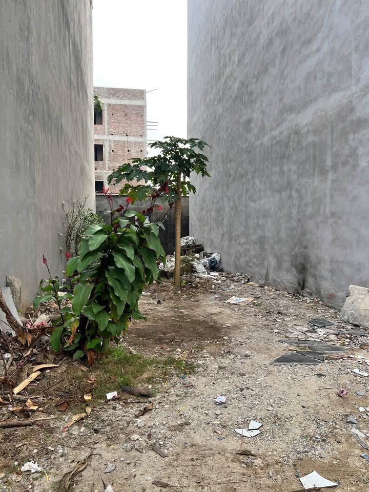 Đất nền Tân Thịnh, Định Hóa 85m² giá 2 tỷ - Cơ hội đầu tư hấp dẫn!