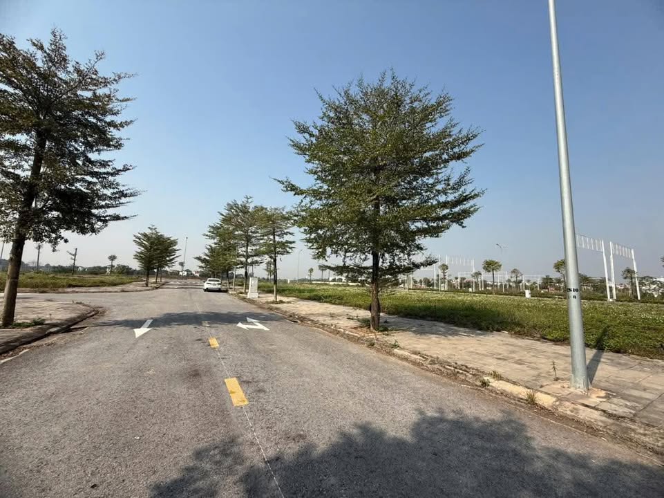 Đất nền Khu ĐT Phía Tây Rùa Vàng, Thị trấn Vôi 77m² giá 2 tỷ - Cơ hội đầu tư không thể bỏ lỡ!