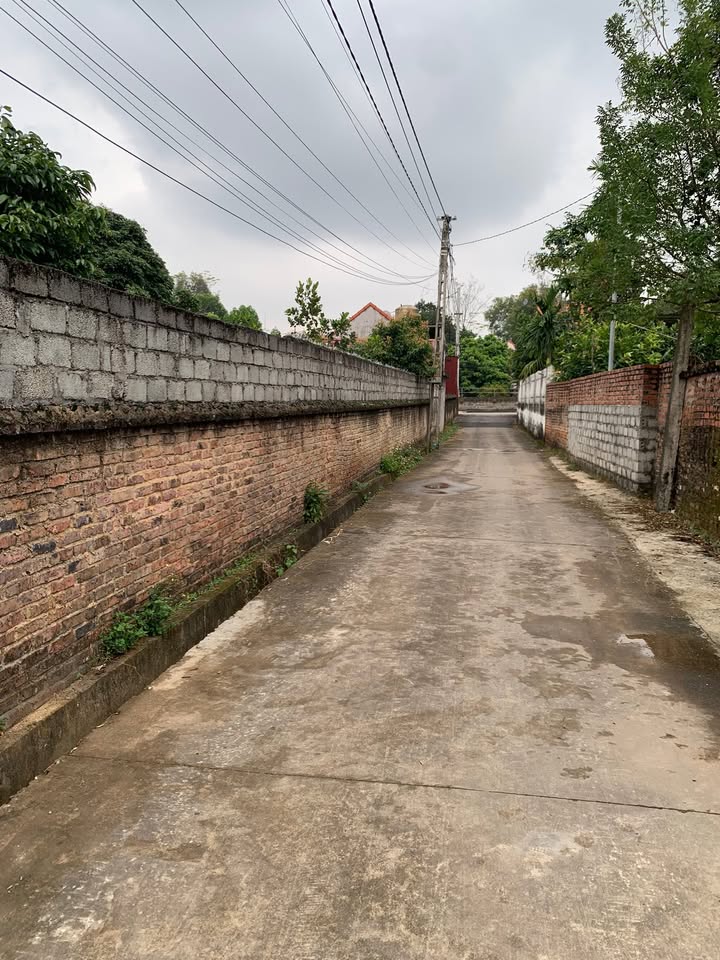 Đất nền thôn Trung Hậu, xã Lan Mẫu, 144m² giá 1 tỷ - Cần thanh khoản gấp!