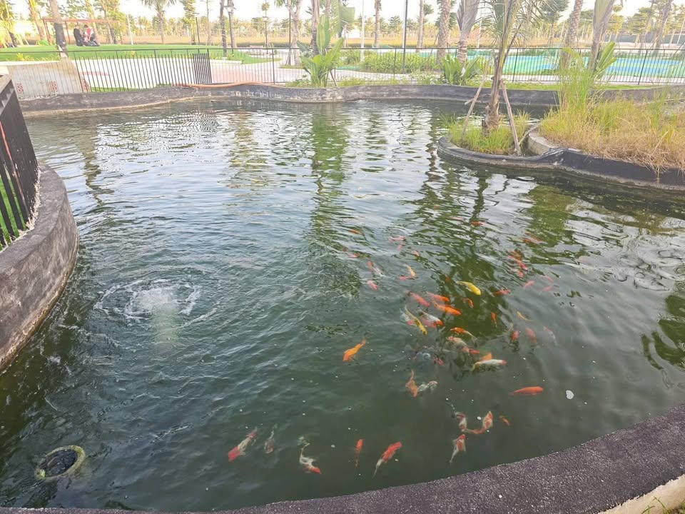 Đất nền Phường Đồng Sơn, Bắc Giang 108m² giá 4 tỷ - Cơ hội đầu tư hấp dẫn!