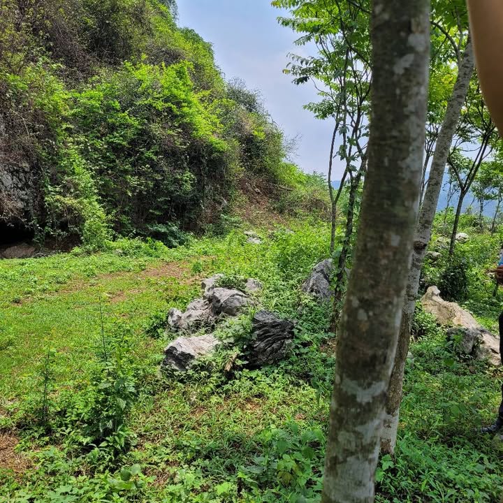 Đất nông nghiệp 4000m² tại Thôn Đồng Danh, Lạc Thủy - Khung cảnh thiên nhiên tuyệt đẹp!