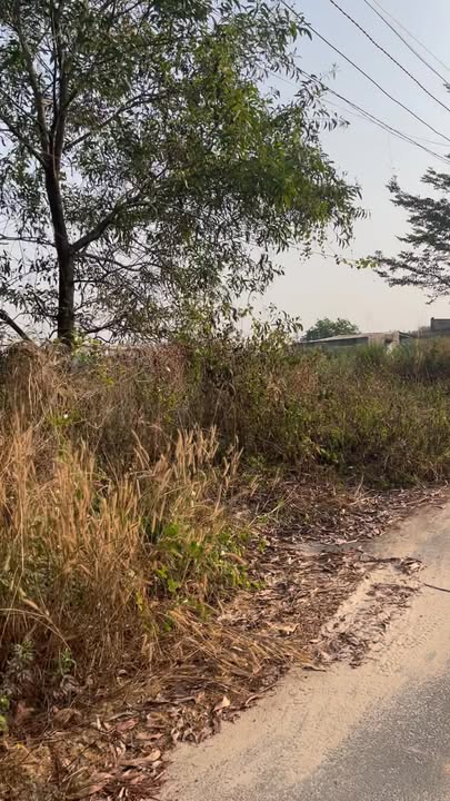 Đất nền 125m² tại xã Trảng Bom, Đồng Nai - Giá chỉ 1.2 tỷ, vị trí đắc địa!