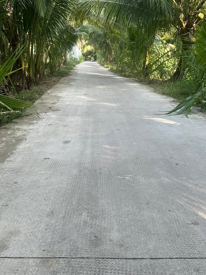 Đất vườn 4000m² tại xã Châu Hưng, Bình Đại, giá 2.4 tỷ - Tiềm năng đầu tư lớn!