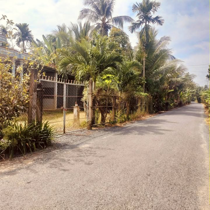 Nhà riêng Ấp Cần Tiêu, Xã Tân Hòa, 465m² giá 1.5 tỷ - Chính chủ, sẵn sàng vào ở!