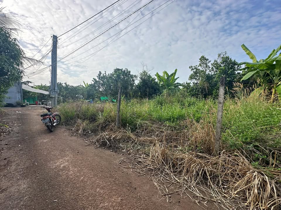 Đất nền Bảo Vinh, Long Khánh 100m² giá chỉ 300 triệu - Cơ hội đầu tư vàng!