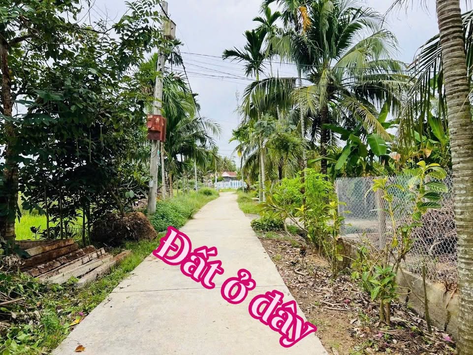 Đất thổ cư 85m² tại Ninh An, Ninh Hòa giá chỉ 200 triệu - Cơ hội đầu tư vàng!