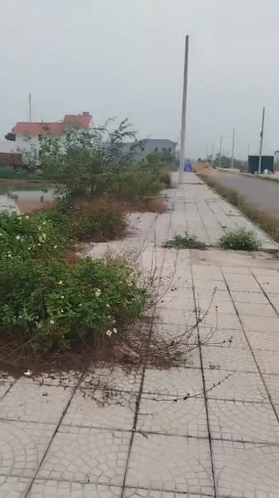 Đất 2 mặt tiền Mặt bằng Thăng Long, Nông Cống 200m² giá 1xxx - Cơ hội đầu tư hấp dẫn!