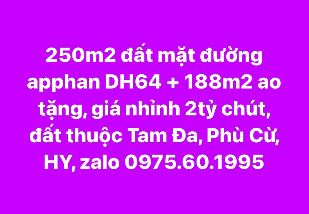 Đất mặt đường apphan DH64, Tam Đa, Phù Cừ, 250m², giá 2 tỷ - Đầu tư sinh lời ngay!