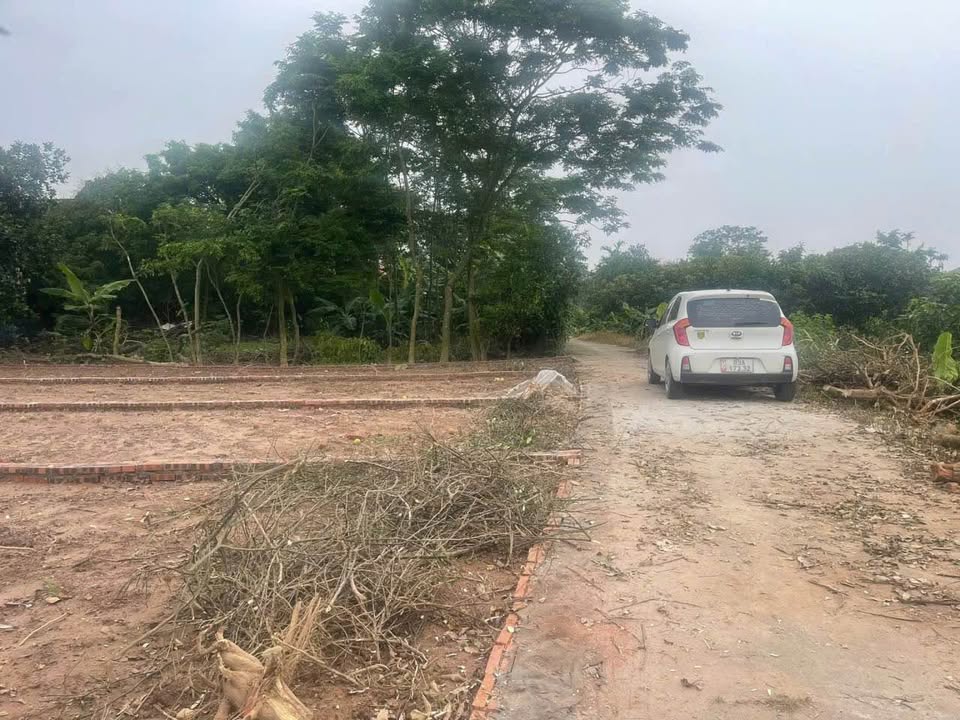 Đất nền Đông Ninh, Khoái Châu, Hưng Yên 87,5m² giá 1 tỷ - Gần khu phức hợp thể thao TRUMP