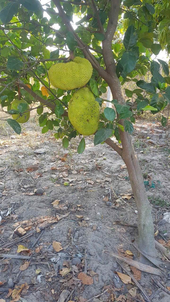 Lô đất Suối Tiên 770m² giá 1.55 tỷ - Đầu tư sinh lời nhanh!