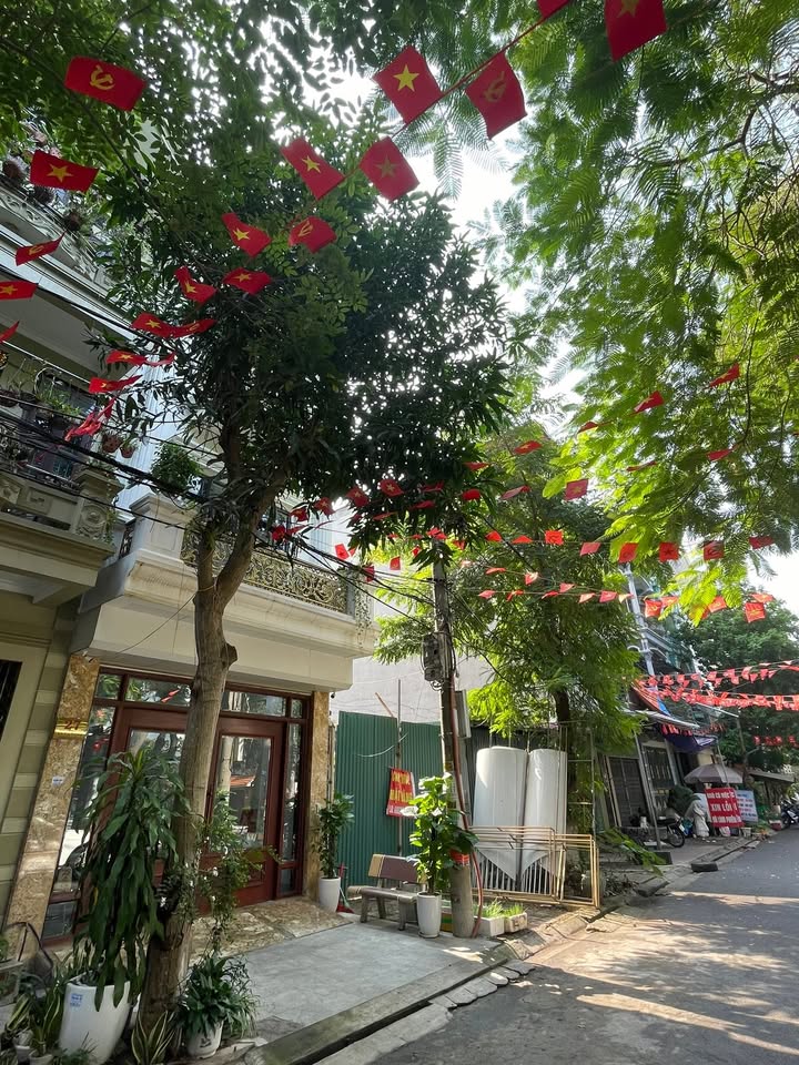 Đất nền Lý Tự Trọng, Từ Sơn, 81m² giá 1x tỷ - Đầu tư sinh lời ngay!