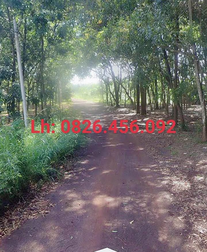 Đất nền Phan Chu Trinh nối dài 145m² giá chỉ 600 triệu - Cơ hội đầu tư tuyệt vời!