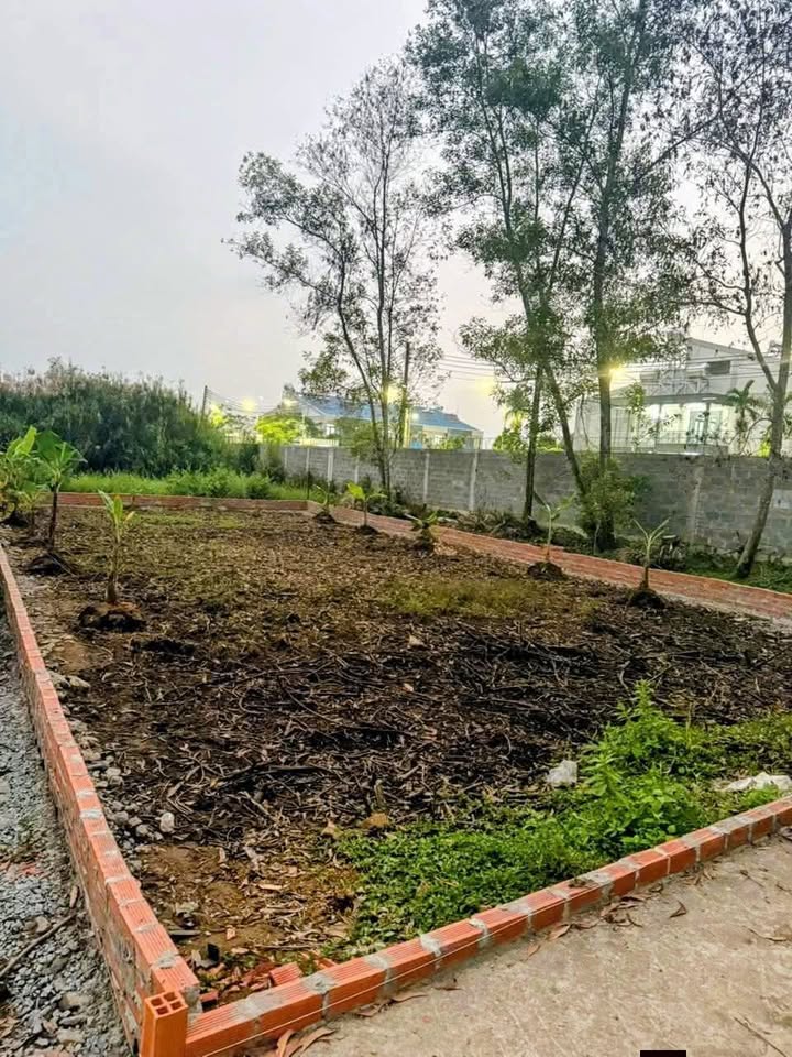 Đất thổ cư tại Thị trấn Long Hồ, Vĩnh Long 224.9m² - Sát bên trường Đại học Cửu Long