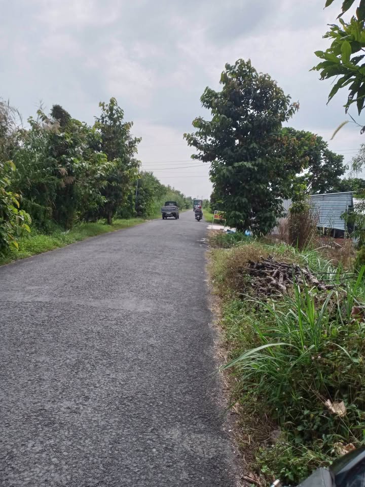 Đất nền thổ cư mặt tiền đường tỉnh 909, xã Tân Lộc, 100m² giá 600 triệu - Đầu tư sinh lời!