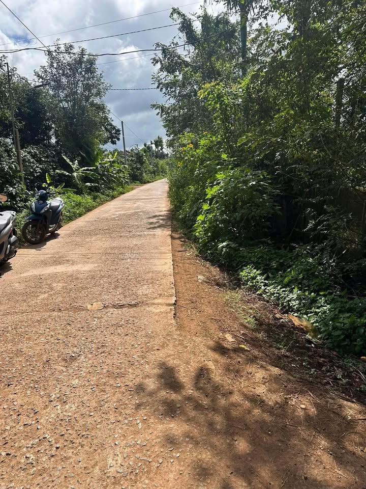 Đất nền xã ĐLiê Ya, huyện Krông Năng, 300m² chỉ 850 triệu - Cơ hội đầu tư hấp dẫn!