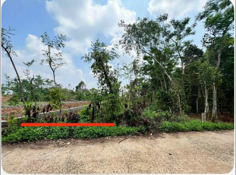 Đất nền Edrông Buôn Hồ 235m² giá chỉ 245 triệu - Cơ hội đầu tư tuyệt vời!