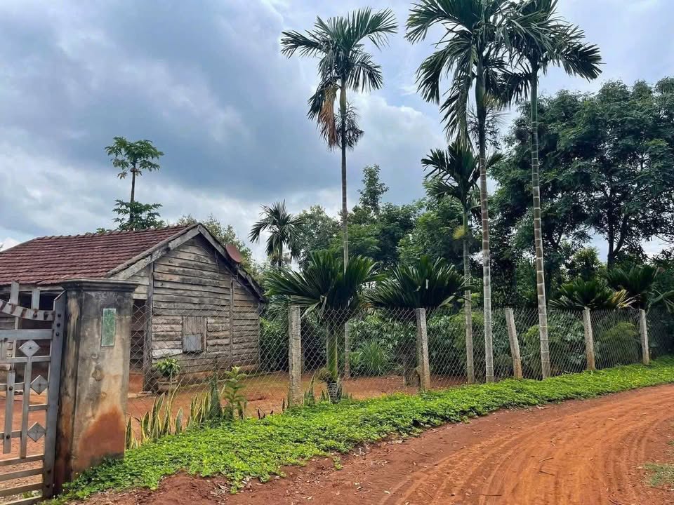 Đất nền Cư Dliê M'nông, Đắk Lắk 3.450m² - Giá thỏa thuận hấp dẫn!