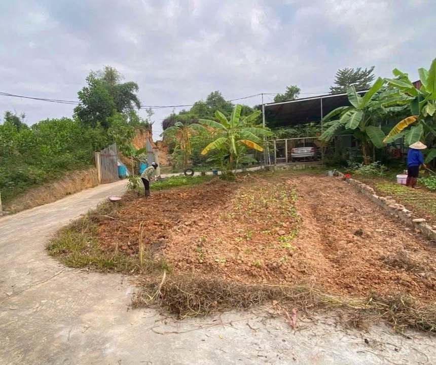 Lô đất phường Tân Thành, Thái Nguyên 95,5m² giá chỉ 600 triệu - Đầu tư sinh lời ngay!