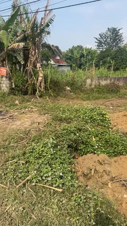 Đất nền 6m25x43m tại xã Châu Quang, huyện Quỳ Hợp chỉ 900 triệu - Gần trường, chợ