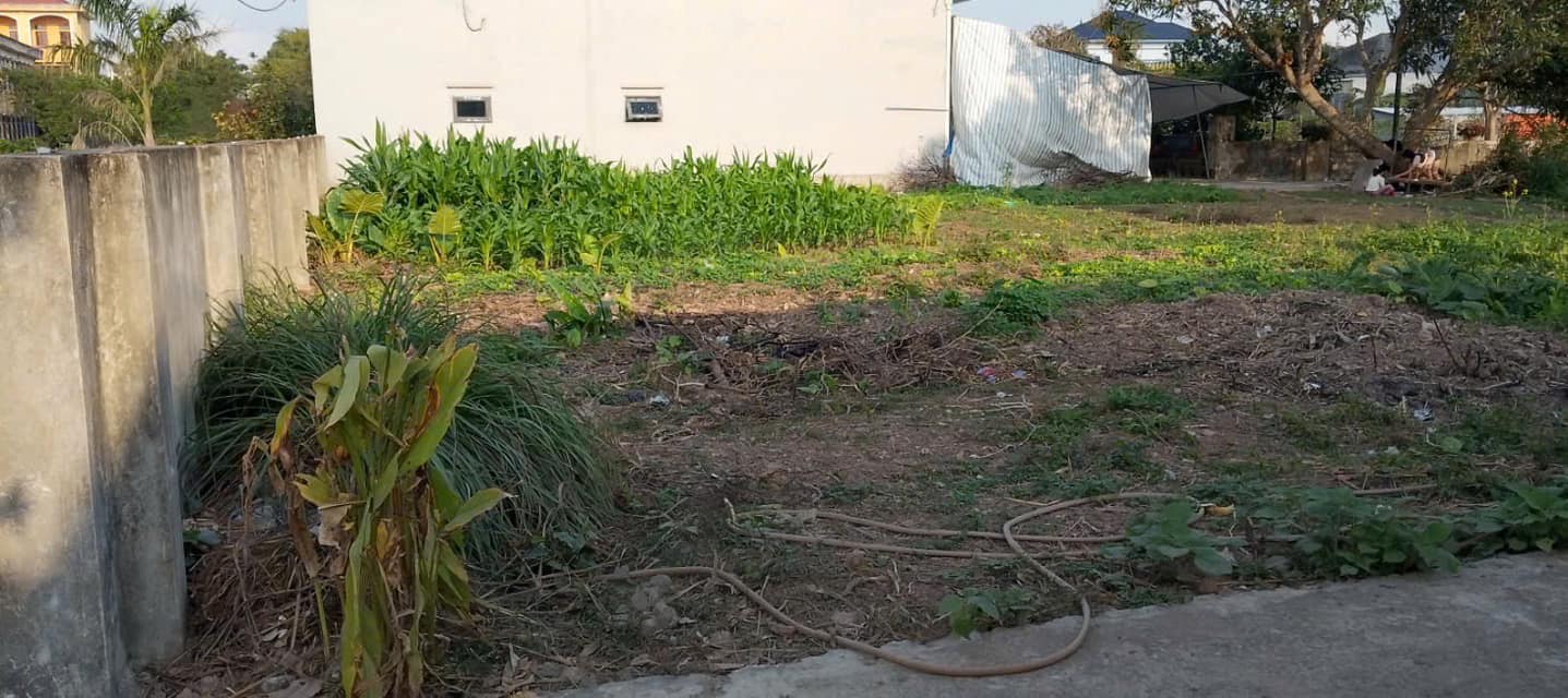 Đất nền Thôn Độc Lập, Xã Nam Trung, 115m² giá thỏa thuận - Đầu tư sinh lời cao!