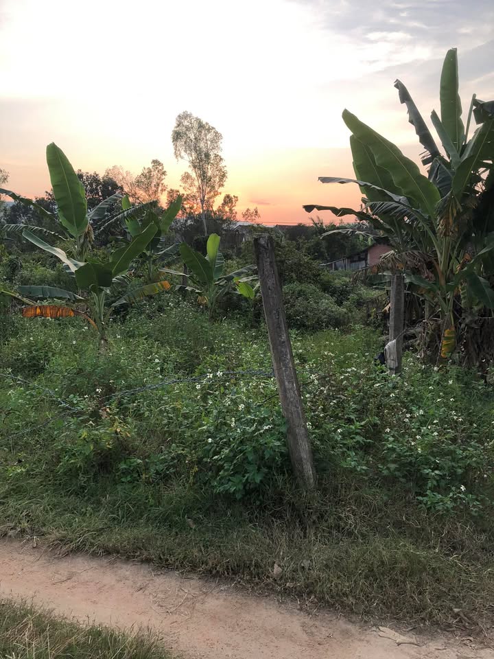 Đất nền thôn Trường Định 2, Bình Hòa 250m² giá 400 triệu - Cơ hội đầu tư hấp dẫn!