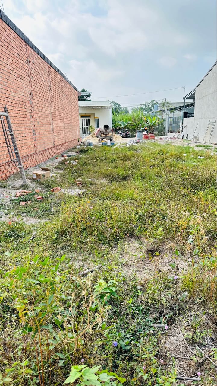 Đất thổ cư Ấp Thanh Thuận, Tây Ninh 160m² giá 499 triệu - Cơ hội đầu tư hiếm có!