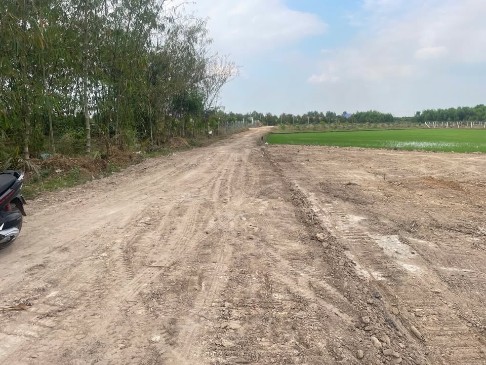 Đất thổ cư 1152m² tại Trảng Bàng, Tây Ninh giá chỉ 700 triệu - Sát KCN Phước Đông!