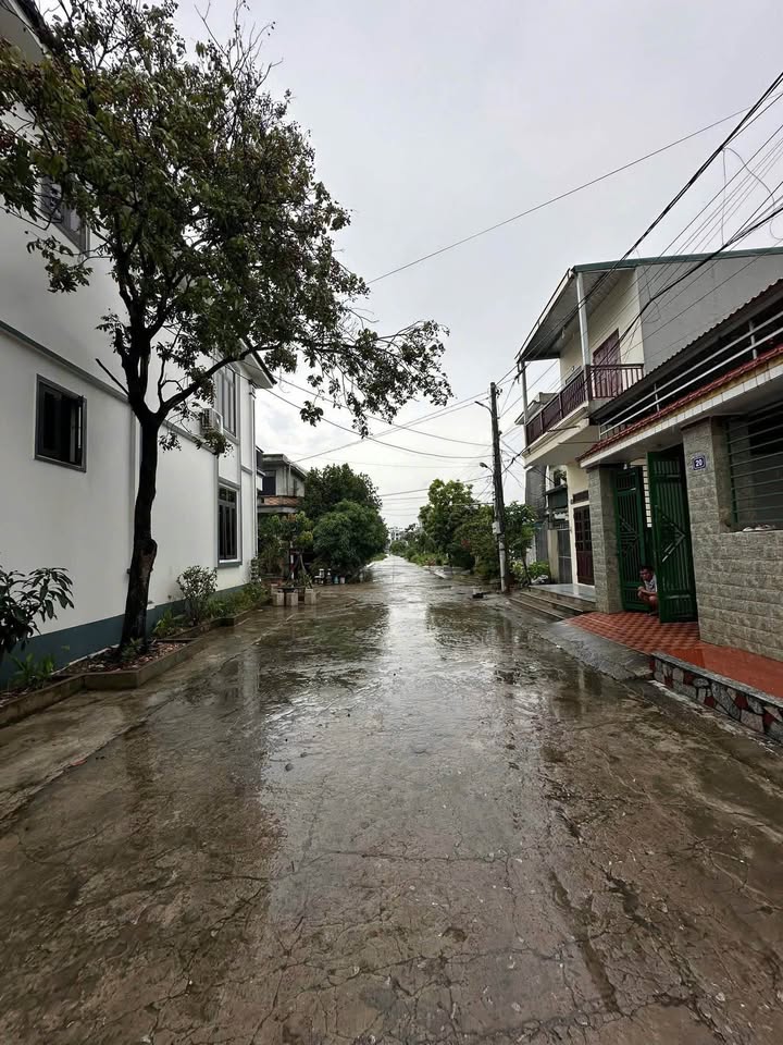 Đất nền khu vườn hoa Ninh Phúc 125m² giá 3 tỷ - Đầu tư lý tưởng!