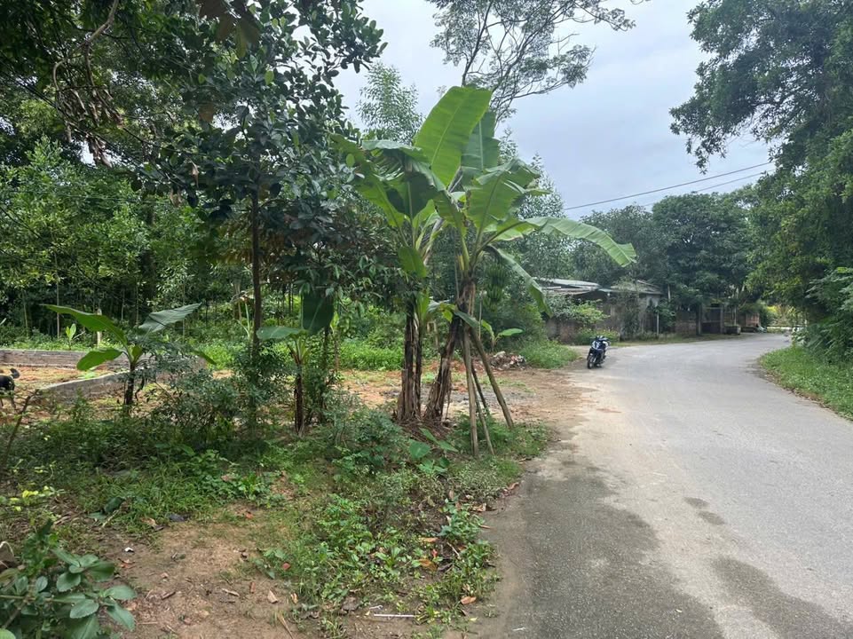 Đất nền đẹp tại Khu 2, Xã Hy Cương, 200m² - Cơ hội đầu tư tuyệt vời!