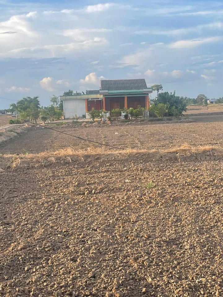 Đất thổ cư và vườn 779m² tại Tân Hưng, Tây Ninh - Giá chỉ 1,5 tỷ!