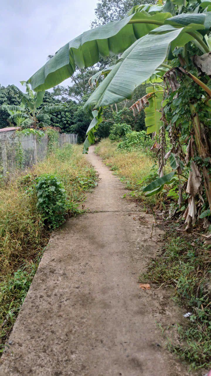 Đất nền liền kề Khu Du Lịch Phi Yến, An Bình, Cần Thơ - Giá chỉ 399 triệu/nền!