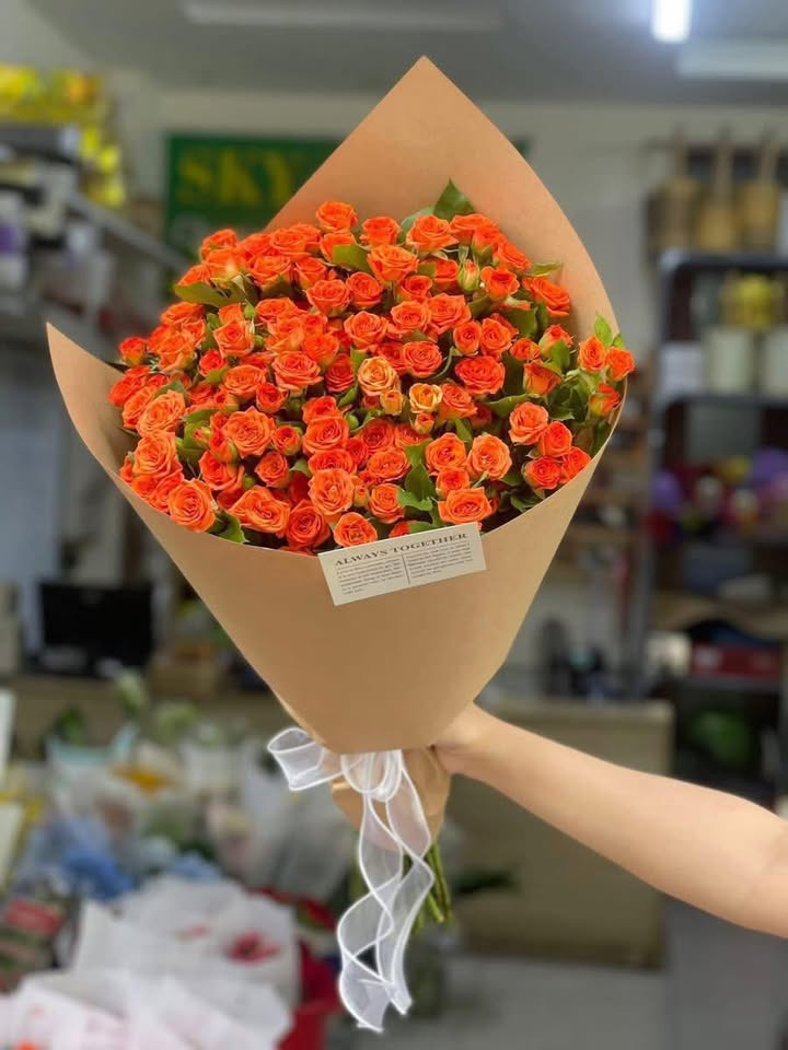 Đất thổ cư Phường Đông Lương 203m² giá 8xx triệu - Vị trí đắc địa trung tâm!