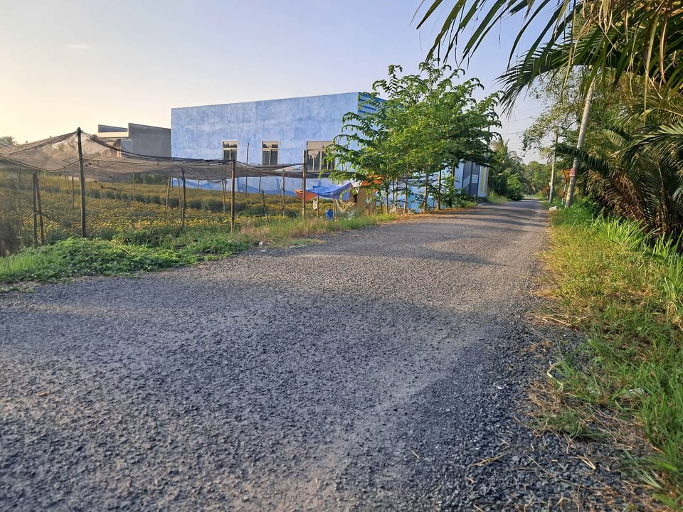 Đất nền Cầu Ngang Trà Vinh 125m² giá 450 triệu - Đầu tư sinh lời tuyệt vời!