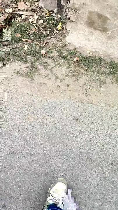 Đất nền xã Hùng Việt, huyện Cẩm Khê, diện tích 246m² - Đường 205, vị trí thuận lợi!