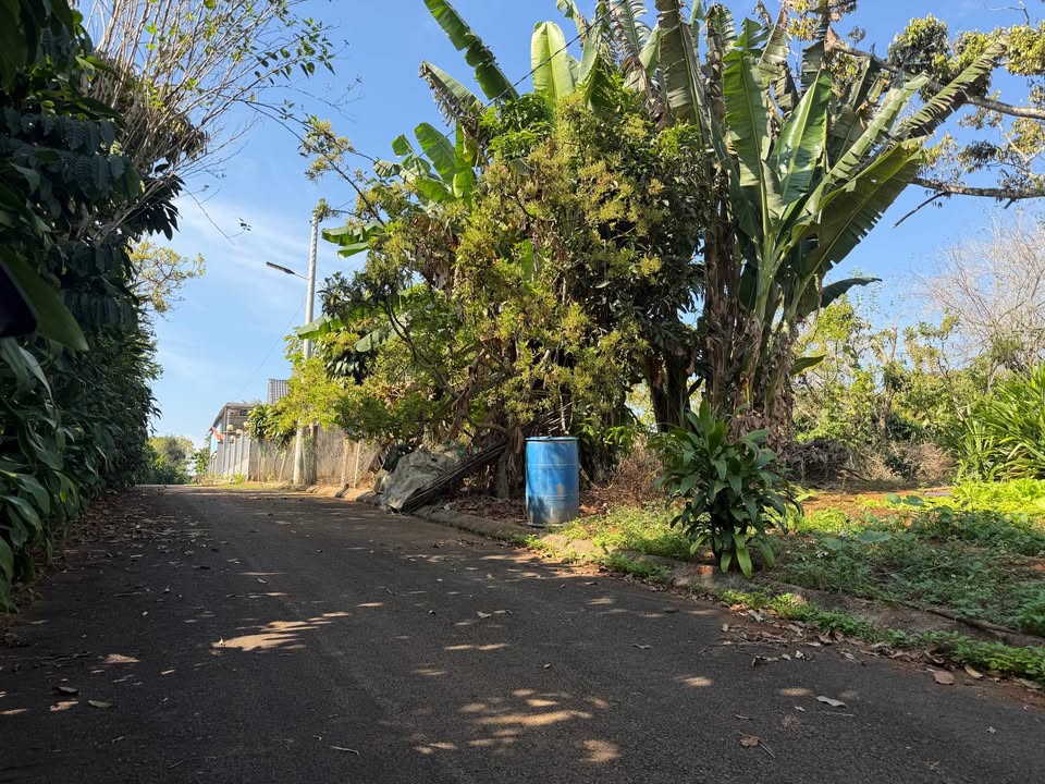 Đất nền Lộc An 98.4m² giá 490 triệu - Cơ hội đầu tư tuyệt vời!