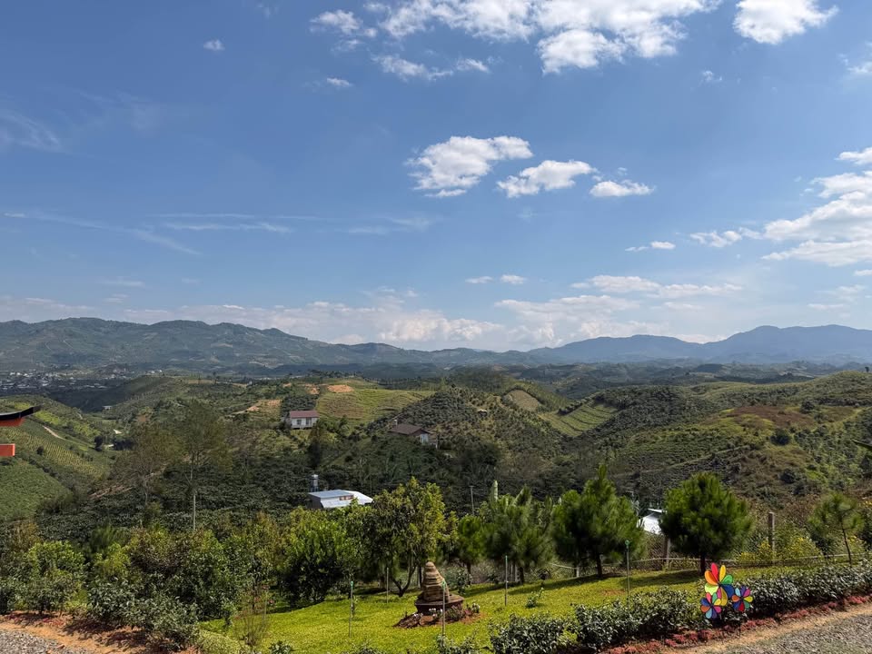 Đất nền khu Phạm Hồng Thái - Bảo Lộc 1384m² chỉ 1.6 tỷ - View đồi đẹp!