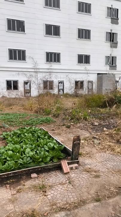 Đất nền KĐT Vũ Kiệt, Gia Bình, 90m² giá thỏa thuận - Cơ hội sở hữu hiếm có!