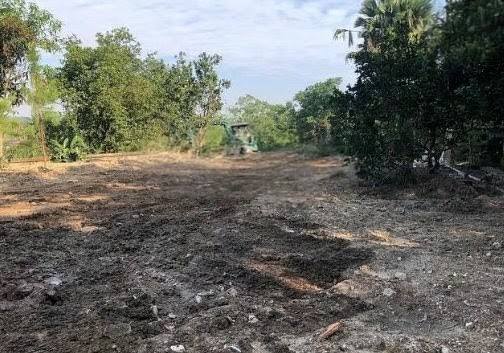 Đất nền Cẩm Lĩnh, Ba Vì 3500m² giá 9 tỷ - Cơ hội đầu tư lý tưởng!