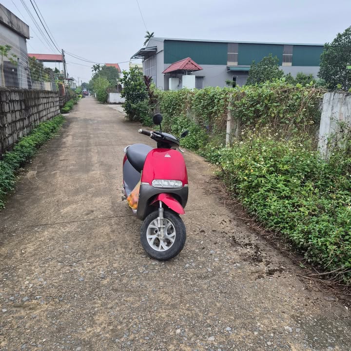 Đất nền liền kề Xóm 6 Khánh Thủy 150m² giá chỉ 600 triệu - Cơ hội đầu tư hấp dẫn!