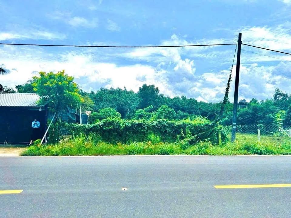 Đất nền An Nhơn Tây, Củ Chi 1.034m² giá 5.9 tỷ - Đầu tư sinh lời hấp dẫn!