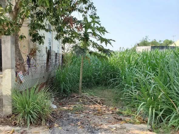 Đất nền 1 sẹt Tỉnh Lộ 15, xã Tân Thạnh Đông, Huyện Củ Chi - Diện tích 108m² chỉ 1.65 tỷ, bớt lộc cho khách thiện chí!