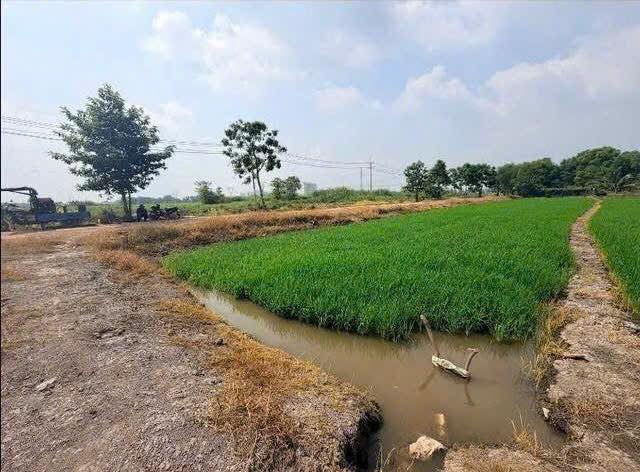 Đất vườn 1262m² gần Bệnh Viện Xuyên Á, Củ Chi chỉ 2.6 tỷ - Đầu tư sinh lời hấp dẫn!