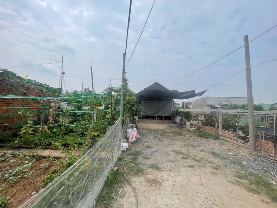 Đất vườn Hiệp Thành Quận 12 200m² giá 3.5 tỷ - Tạo dựng không gian sống lý tưởng!