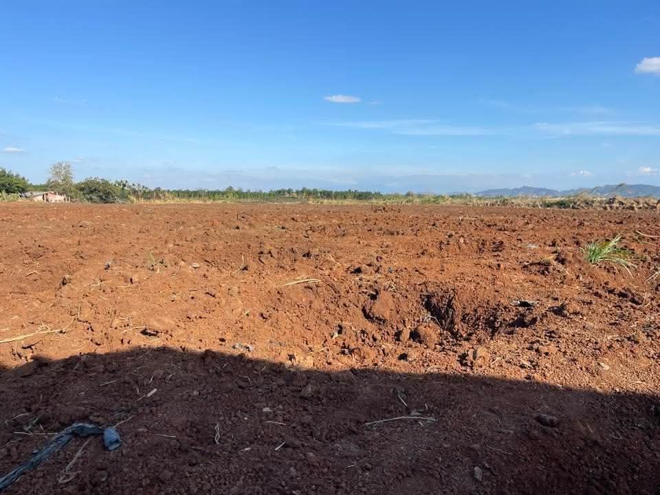 Đất nền 1ha xã Ea Na, huyện Krông A Na, Đắk Lắk giá 8.1 tỷ - Tiềm năng phát triển cao!