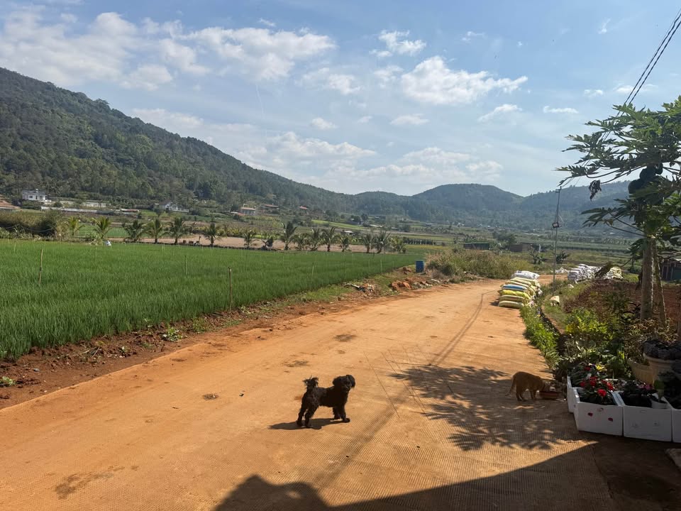 Đất nền sông Đức Trọng 120m² giá 1.35 tỷ - Không dính quy hoạch!