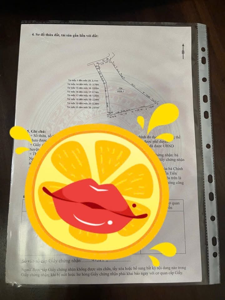 Đất nền phân lô 2028m² tại Xã Tản Lĩnh - Giá thỏa thuận hấp dẫn!