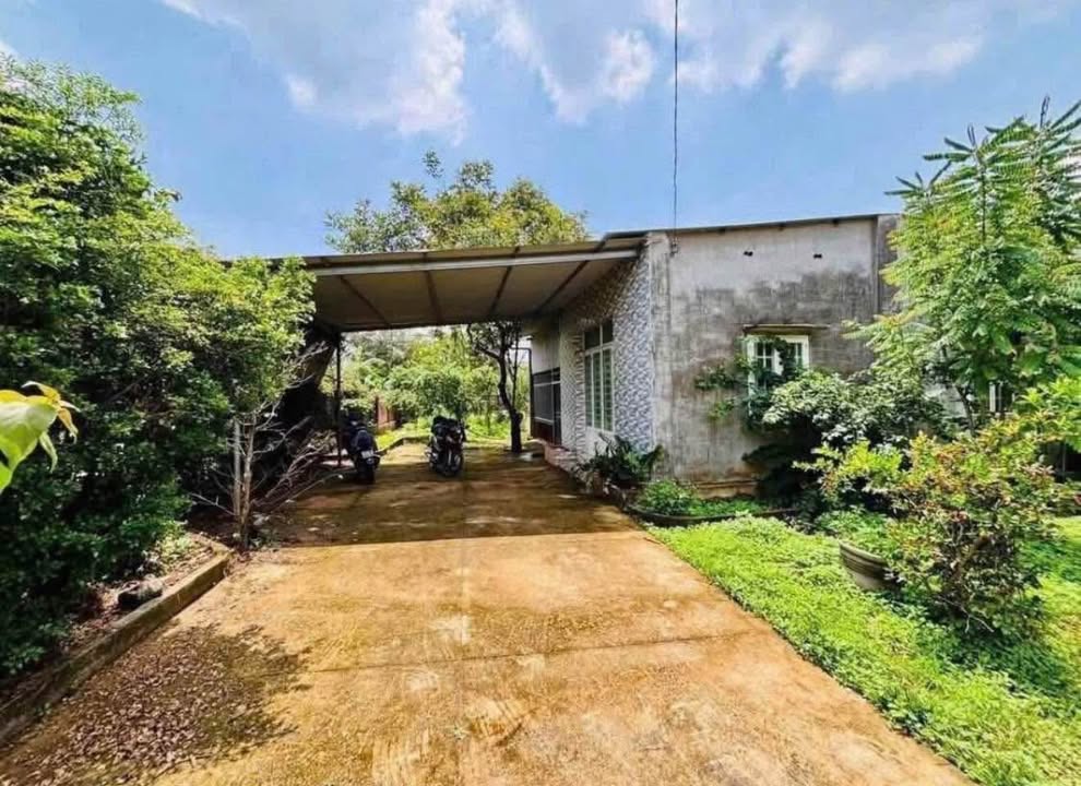 Lô nhà vườn 3500m² tại Quốc lộ 13, Bình Thạnh - Giá chỉ 460 triệu!