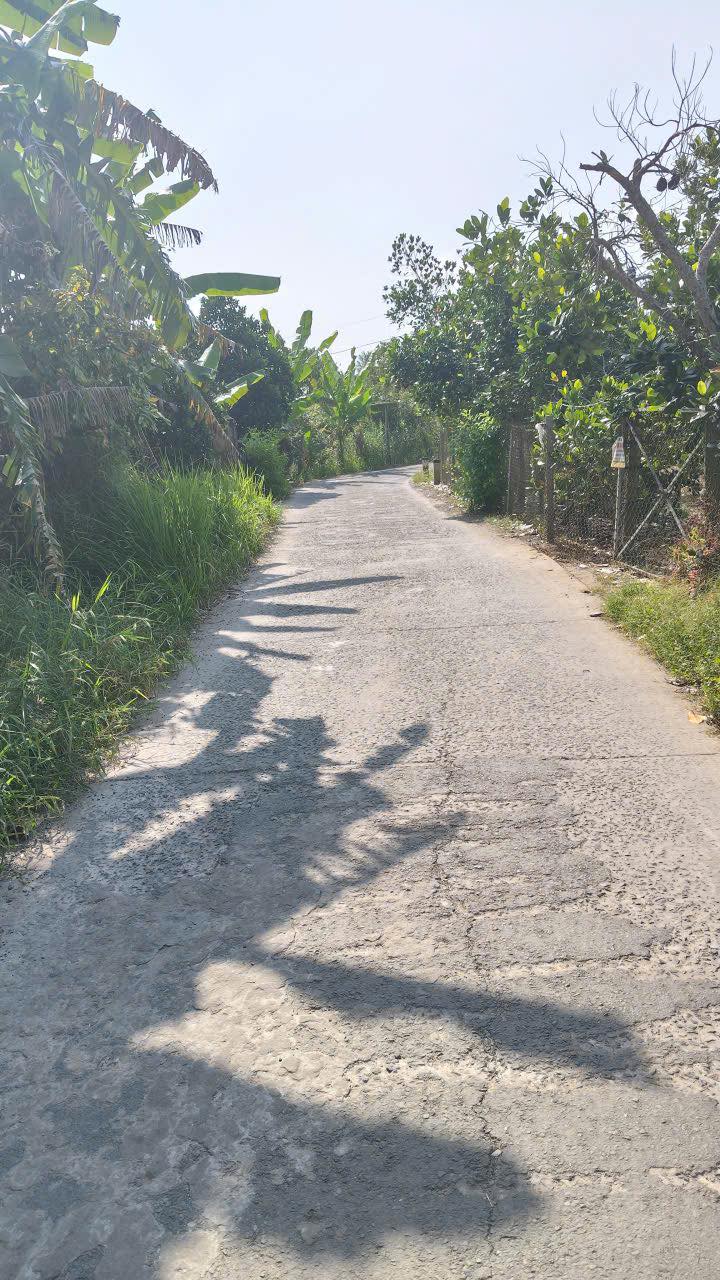 Đất vườn 1000m² tại Hiệp Đức, Cai Lậy - Giá 750 triệu, mặt tiền 25m