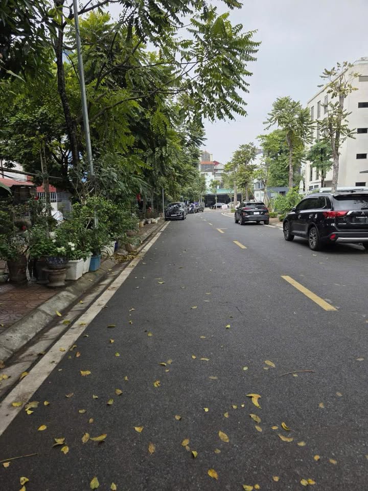 Đất phân lô phố Vũ Đức Thận, Việt Hưng 60m² giá 18 tỷ - Kinh doanh thuận lợi!