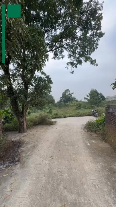 Đất nghỉ dưỡng 3.140m² tại Xuân Mai - Giá chỉ 3.14 tỷ, tiềm năng tăng giá cao!